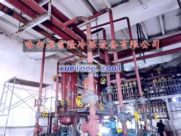 Renovation of Pressure Vessel and Pressure Pipeline of Ammonia Refrigerator